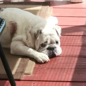 Meet your Posher, Tom